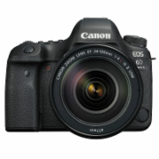佳能（Canon） EOS 6D Mark II 照相机（EF 24-105mm IS STM镜头+128G卡）