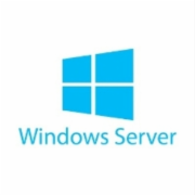 微软(Microsoft） Windows Server 2019 操作系统 （中文标准版服务器端/嵌入式） 