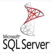 微软SQL server 2019标准版（政府版，服务器端并自带15用户） 数据库管理系统