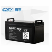 商宇（CPSY）GW12100 12V100AH 不间断电源（电池）