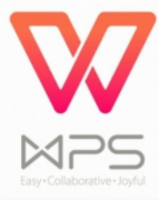 办公套件 金山/WPS WPS Office 2019 专业版 专业版